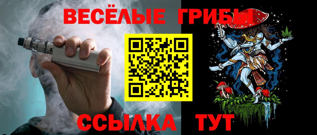 Галлюциногенные грибы Psilocybe Скопин