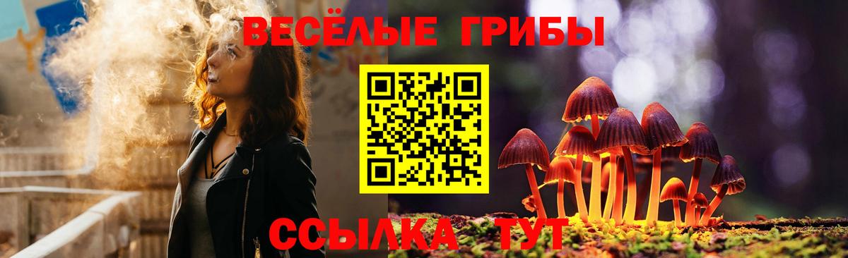 Псилоцибиновые грибы мухоморы  Вход с VPN  Скопин  Псилоцибиновые грибы ЛСД 